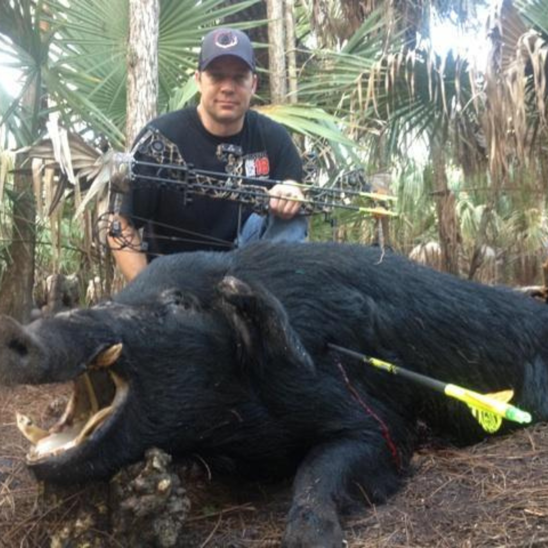 Bowhunter with a harvested wild boar in a palm woodland